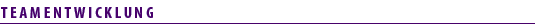 TEAMENTWICKLUNG