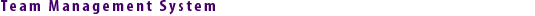 Team Management System