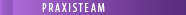 PRAXISTEAM