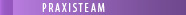 PRAXISTEAM